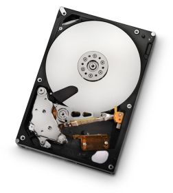 655-1625C Apple 2TB 5900RPM SATA 3Gbps 32MB Cache 3.5-Inch Internal Hard Drive