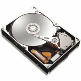 7B250R0-20PK Maxtor MaXLine III 250GB 7200RPM ATA-133 16MB Cache 3.5-inch Internal Hard Drive (20-Pack)