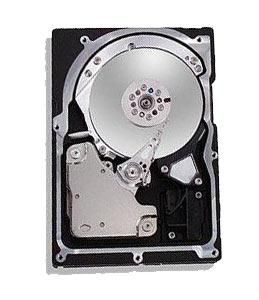 2R015H1 Maxtor Fireball 531DX 15GB 5400RPM ATA-100 2MB Cache 3.5-inch Internal Hard Drive