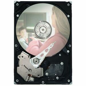 ST3250310CS-25PK Seagate DB35.4 Series 250GB 7200RPM SATA 3Gbps 8MB Cache 3.5-inch Internal Hard Drive (25-Pack)