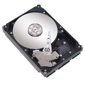 ST3250624NS-20TPK Seagate NL35 Series 250GB 7200RPM SATA 3Gbps 16MB Cache 3.5-inch Internal Hard Drive (20-Pack)
