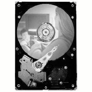 ST3250820SV-20PK Seagate SV35.2 250GB 7200RPM SATA 3Gbps 8MB Cache 3.5-inch Internal Hard Drive (20-Pack)