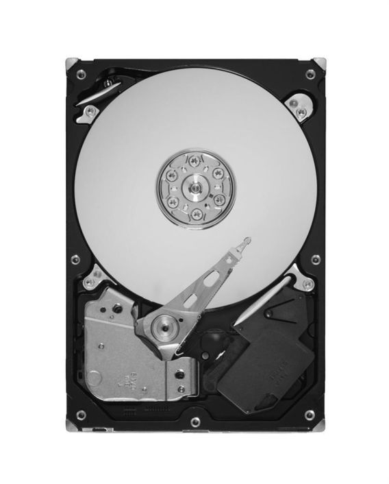 4013-2861 IBM 750GB 7200RPM SATA 3Gbps 32MB Cache 3.5-inch Internal Hard Drive for N Series