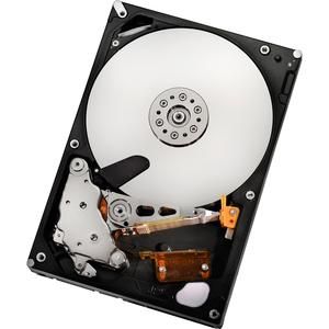 0F10311-20PK Hitachi Deskstar 7K2000 2TB 7200RPM SATA 3Gbps 32MB Cache 3.5-inch Internal Hard Drive (20-Pack)