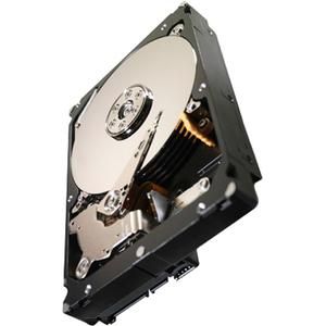 ST32000646NS-20PK Seagate Constellation ES.2 2TB 7200RPM SATA 6Gbps 64MB Cache 3.5-inch Internal Hard Drive (20-Pack)