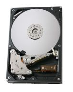 HDT721010SLA360 Hitachi Deskstar 7K1000.B 1TB 7200RPM SATA 3Gbps 16MB Cache 3.5-inch Internal Hard Drive