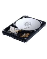 HD301LJ Samsung Spinpoint T133S 300GB 7200RPM SATA 3Gbps 16MB Cache 3.5-inch Internal Hard Drive