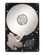 HE253GJ Samsung Spinpoint F3R 250GB 7200RPM SATA 3Gbps 16MB Cache 3.5-inch Internal Hard Drive