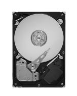 43W7657 IBM 750GB 7200RPM SATA 3Gbps 3.5-inch Internal Hard Drive