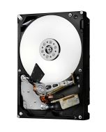 0F23112 HGST Hitachi 2TB 7200RPM SATA 6Gbps 3.5-inch Interenal Hard Drive