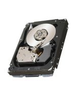 1818-5531 IBM 300GB 15000RPM Fibre Channel 4Gbps DDM 3.5-inch Internal Hard Drive (16-Pack)