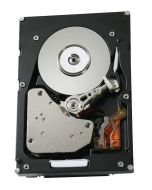 HUS156030VLF401 HGST Hitachi Ultrastar 15K600 300GB 15000RPM Fibre Channel 4Gbps 64MB Cache (TCG) 3.5-inch Internal Hard Drive